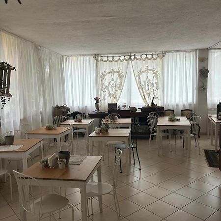Casa Versilia Hotel 마리나디마사 외부 사진