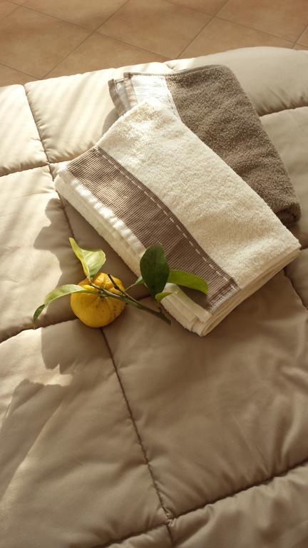 Casa Versilia Hotel 마리나디마사 외부 사진
